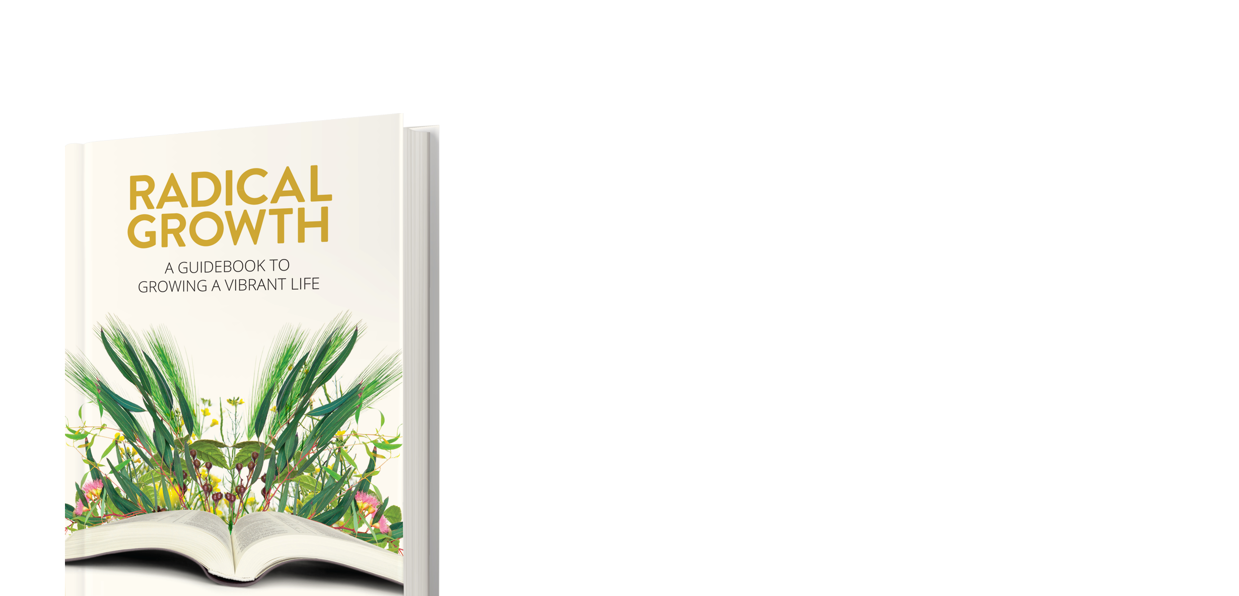 Radical Growth - Havilah Cunnington